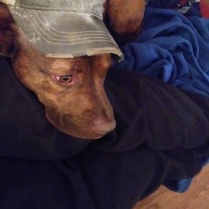 Meet your Posher, Jim